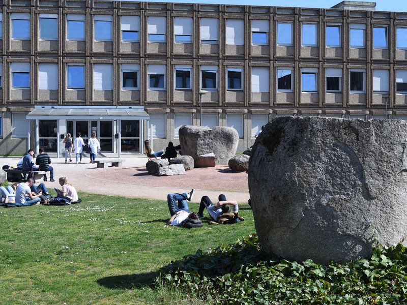 IUT Villeurbanne Doua - Cour aux cailloux